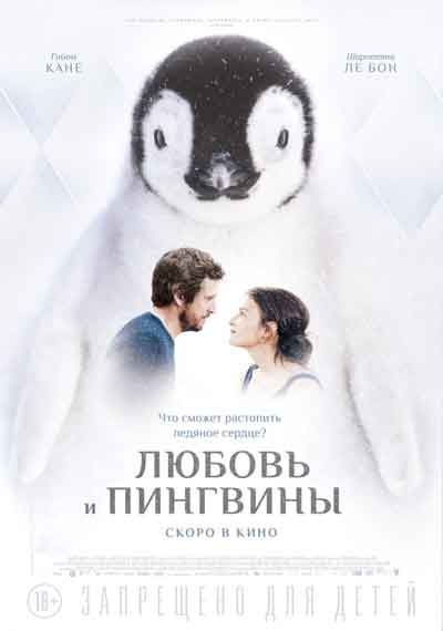 Любовь и пингвины