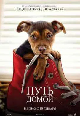 Путь домой