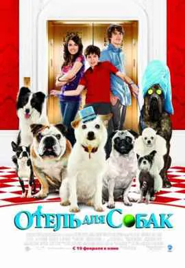 Отель для собак