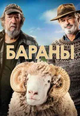 Бараны