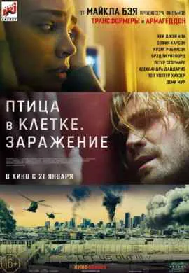 Птица в клетке. Заражение