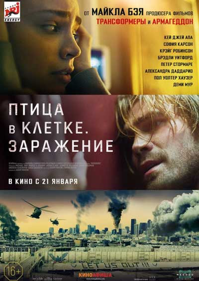 Птица в клетке. Заражение