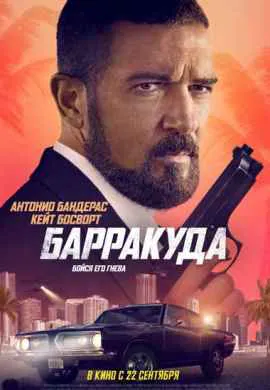 Барракуда