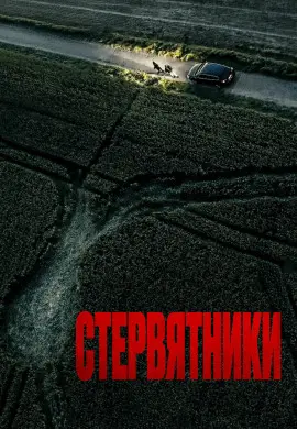 Стервятники