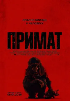 Примат